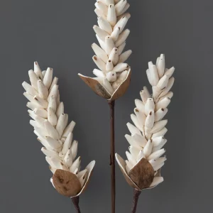 Sola Sticks & Candles