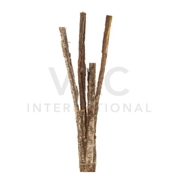 Tula Roll – Vac International